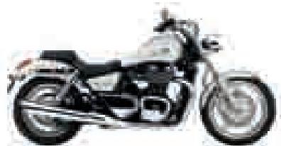 TRIUMPH SPEEDMASTER - TRIUMPH CLOTHING - 7