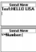 ERICSSON R320S - Enable the Phone to Send SMS - 1