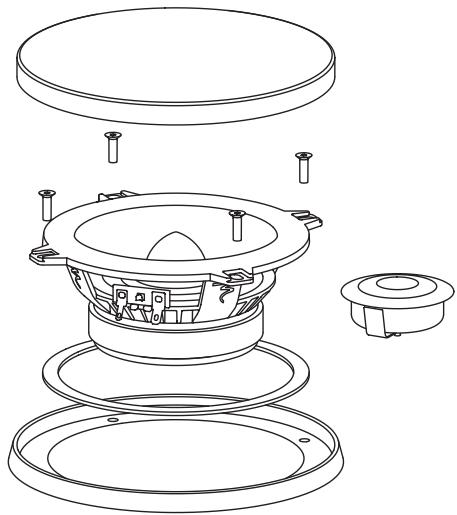 FOCAL POLYGLASS MULTI SPEAKER - 1