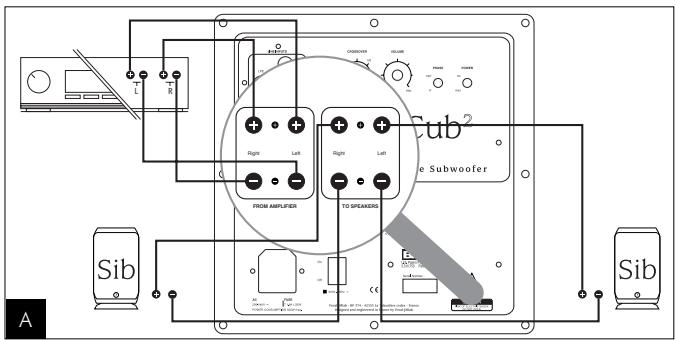 FOCAL CUB2 - Connections - 1