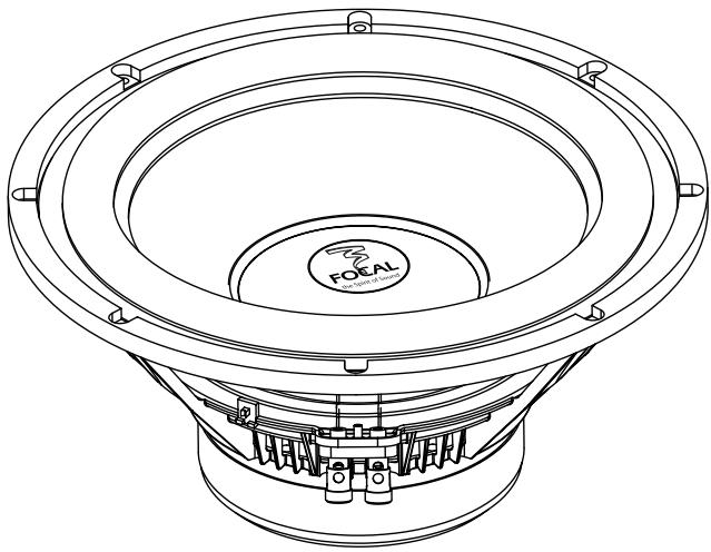 FOCAL POLYGLASS SUBWOOFERS - Warning! - 1