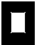 ION PICS 2 GO - USING iPICS2GO - 1