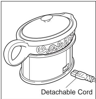 CROCK POT SCVG000-CN GRAVY MATE - POLARIZED PLUG - 2