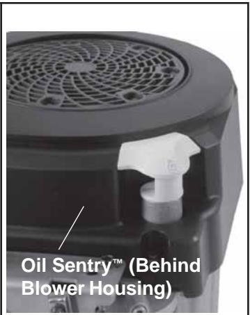KOHLER SV540 - Change Oil and Filter - 2