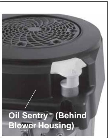 KOHLER SV590 - Change Oil and Filter - 2