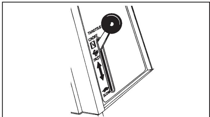 KOHLER SV600 - Starting - 1