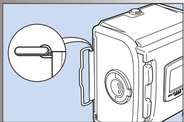HASSELBLAD 503CW - 501cm & 503CW - 7