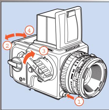 HASSELBLAD 503CW - 501cm & 503CW - 33