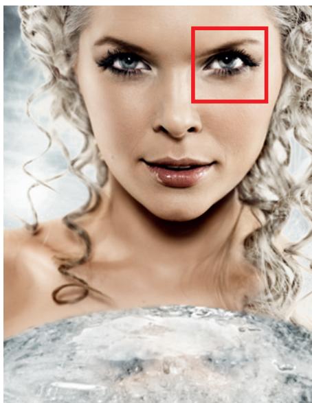 HASSELBLAD H4D-40 - Couleurs naturelles exclusives de hasselblad - 3