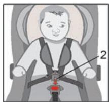 KIDDY MAXI PRO - Buckling up the baby - 2