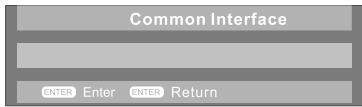 SWEEX TV023 - Common Interface - 1