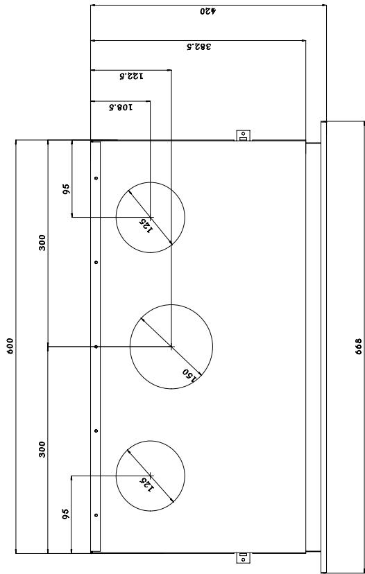 BODART & GONAY BODART & GONAY IN FIRE - Caractéristiques - 3