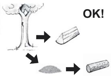 BODART & GONAY BODART & GONAY IN FIRE - Combustible: - 1
