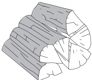 BODART & GONAY BODART & GONAY IN FIRE - Allure réduite et combustion longue durée - 1