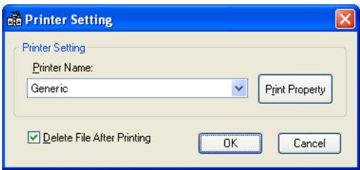 KONICA BIZHUB 222 - Specifying automatic printing with IP Scanner - 3