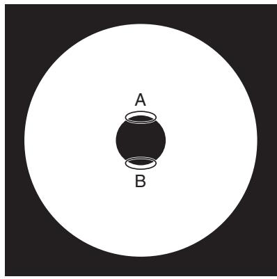 KONICA CS-2000 - Diopter Adjustment - 2