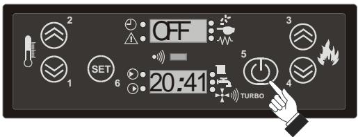 MCZ POLAR HYDRO - ASPECT de la FLAMME - 1