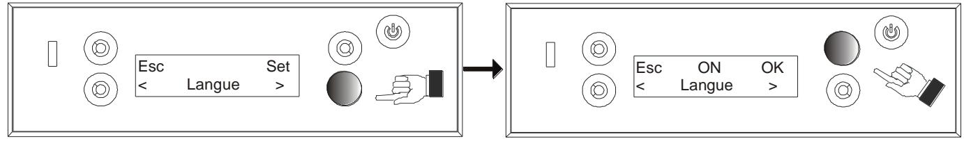 MCZ SUITE HYDRO - Configuration de la langue - 3