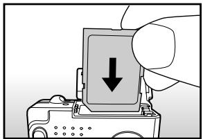 ROLLEI PREGO DP5200 - Inserting the SD card - 1