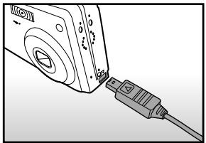 ROLLEI PREGO DP5200 - Playing Back Still Images/Video Clips on a TV - 1