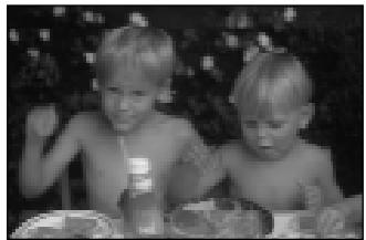 ROLLEI PREGO115 - Let op - 2