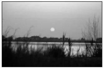 ROLLEI PREGO115 - Let op - 2