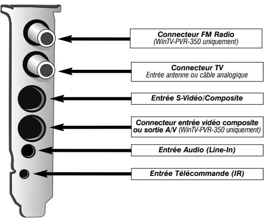 HAUPPAGE PVR-150/250/350 - Connecteurs WINTV-PVR-150/350 - 1