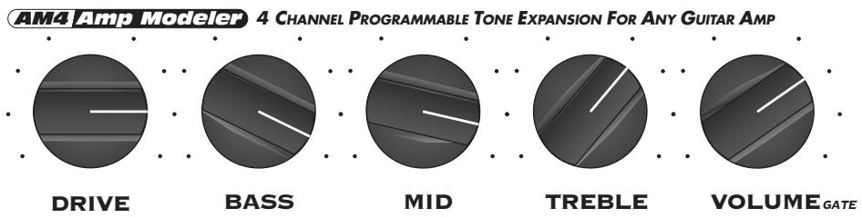 LINE 6 AM4 - Plexi 45 - '65 Marshall JTM-45 - 3