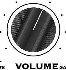 LINE 6 DM4 - DM4 Distortion Modeler - Effect Presets Reference Guide - 31