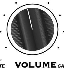 LINE 6 DM4 - DM4 Distortion Modeler - Effect Presets Reference Guide - 43