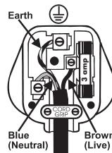 BIONAIRE BASF40G - WARNING - THIS APPLIANCE MUST BE EARTHED. - 1
