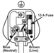 BIONAIRE BCH160 - Installation of a plug applicable to U.K. and Ireland only - 1