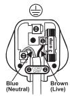 BIONAIRE BT16 - INSTALLATION OF A PLUG - Applicable to U.K. and Ireland. - 1