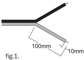 CAMBRIDGE AUDIO INCOGNITO SS10 - CONNECTING THE SS10 - 1