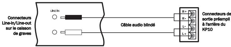 CAMBRIDGE AUDIO INCOGNITO KP10 - ① Connecteurs à vis cat5/kp10 - 1