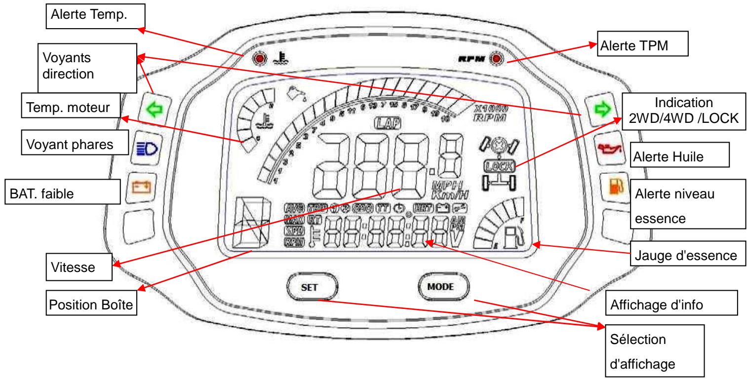 ADLY 600 XCE COUNTRY - DANGER - 2