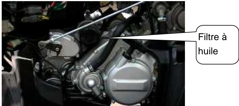 ADLY 600 XCE COUNTRY - Filtre à huile - 1