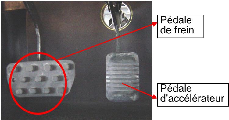 Pédale de frein Pédale d'accélérateur