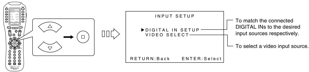 SHERWOOD R-963 - When selecting the INPUT SETUP - 2