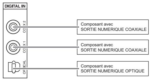 SHERWOOD RD-6504 - Raccordement d'entrees numeriques (digital IN) - 1