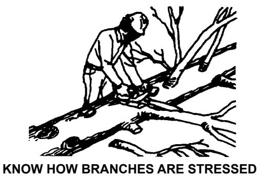 ECHO CHAIN SAW - GENERAL SAFETY INSTRUCTIONS - 23