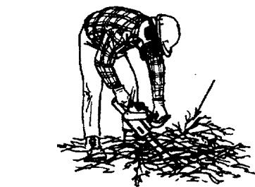 ECHO CHAIN SAW - KICK GUARD® APPLICATIONS - 5