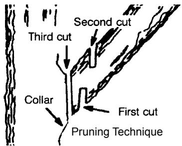 ECHO CHAIN SAW - GENERAL SAFETY INSTRUCTIONS - 15