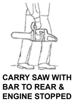 ECHO CHAIN SAW - VITAL SAFETY GEAR TO WEAR WHEN CUTTING: - 17