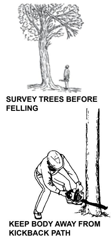 ECHO CHAIN SAW - GENERAL SAFETY INSTRUCTIONS - 18