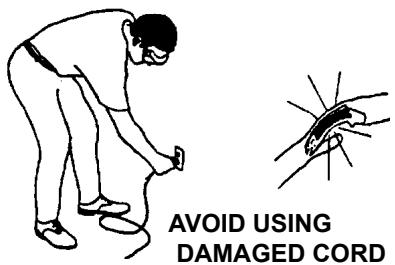 ECHO CHAIN SAW - ELECTRIC CHAIN SAW SAFETY - 3