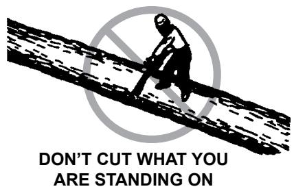 ECHO CHAIN SAW - GENERAL SAFETY INSTRUCTIONS - 22