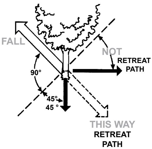 ECHO CHAIN SAW - GENERAL SAFETY INSTRUCTIONS - 21
