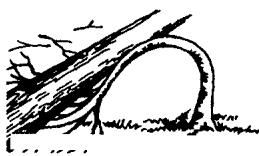 ECHO CHAIN SAW - WARNING! - 6