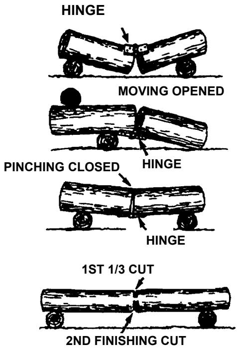 ECHO CHAIN SAW - GENERAL SAFETY INSTRUCTIONS - 10